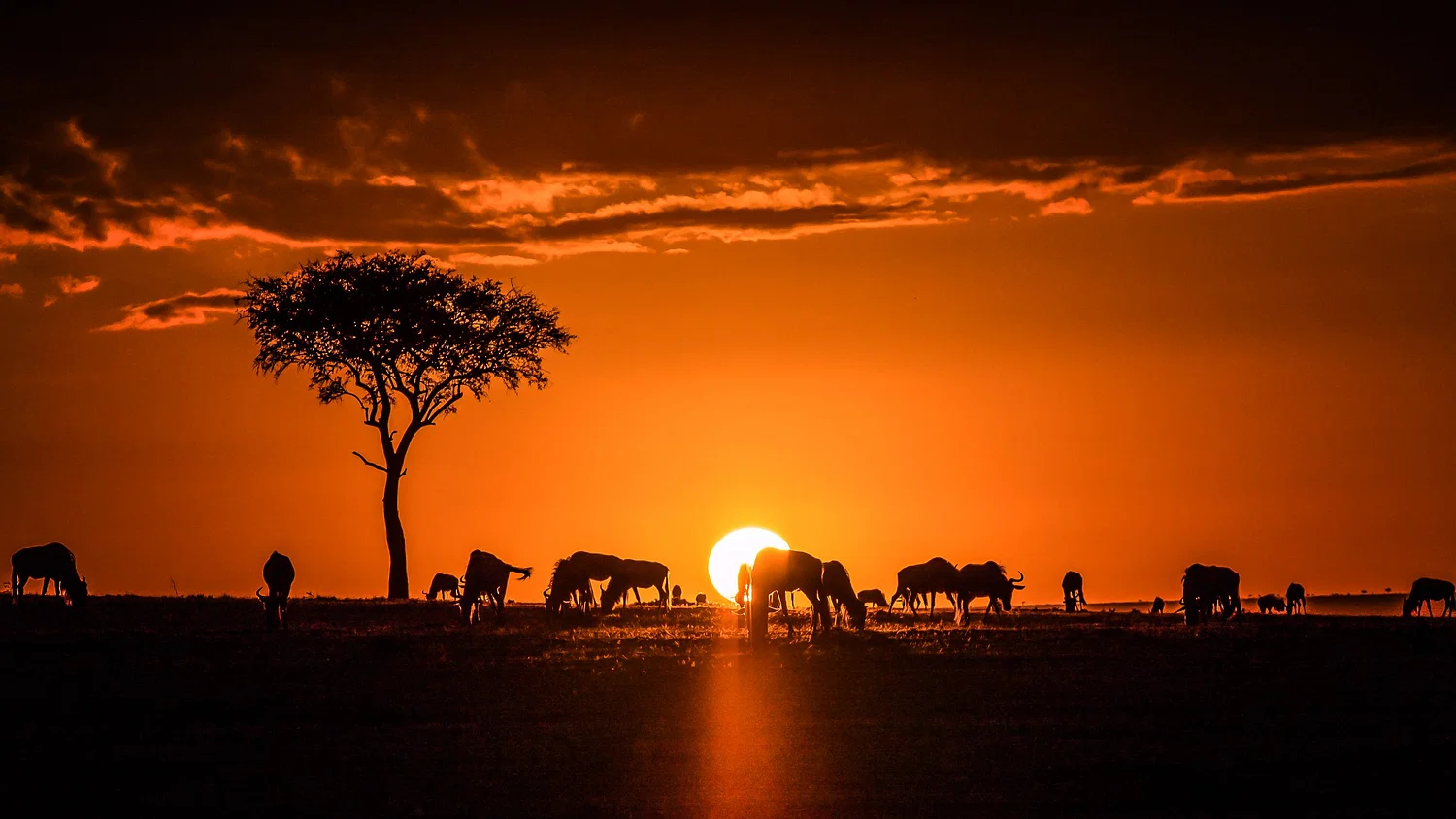 Mara Sunrise